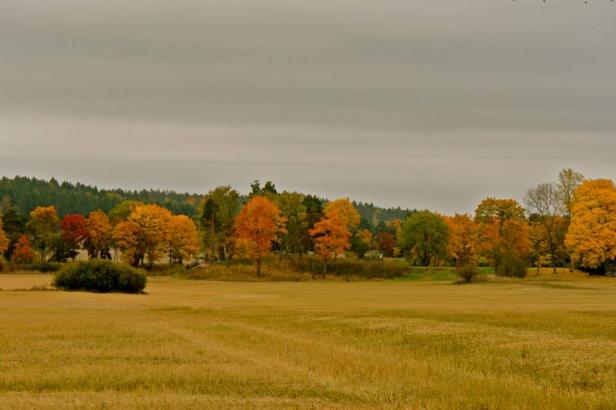 Schwedischer Herbst