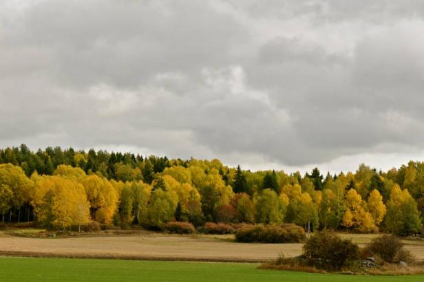 Schwedischer Herbst