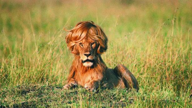 Werbung einmal anders