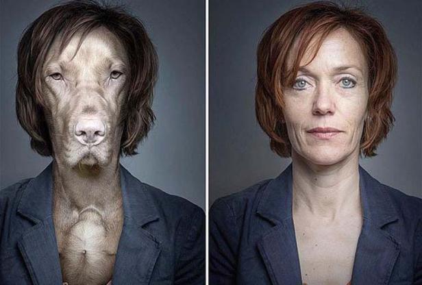 Ein zusammengesetztes Bild zeigt eine Frau und einen Hund mit ähnlichen Gesichtszügen und Frisuren.