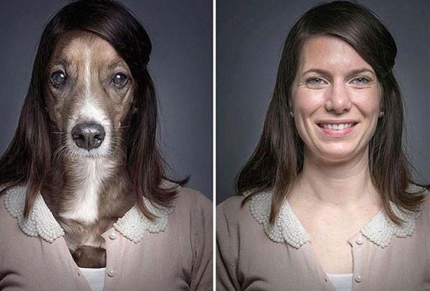 Ein Hund mit Menschenhaaren und eine Frau mit Hundehaaren tragen die gleiche Bluse.