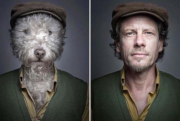 Ein Mann und ein Hund mit ähnlicher Kleidung und Frisur stehen nebeneinander.