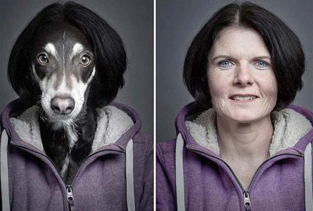 Ein Hund und eine Frau mit ähnlichen Frisuren und lila Kapuzenpullovern nebeneinander.