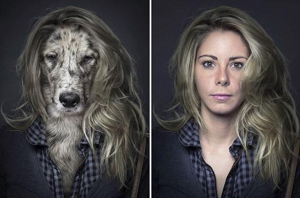 Ein zusammengesetztes Bild zeigt links einen Hund mit blonden Haaren und rechts eine Frau mit ähnlicher Frisur.