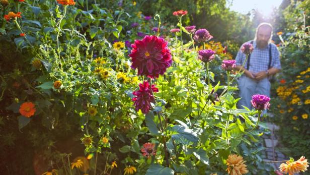 Ein Mann steht in einem Garten voller bunter Blumen.