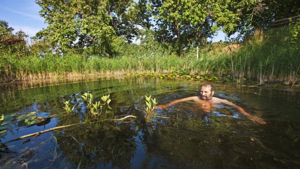 Ein Mann schwimmt in einem von Schilf umgebenen Teich.