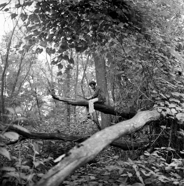 Eine Person sitzt auf einem Baumstamm in einem dichten Wald.