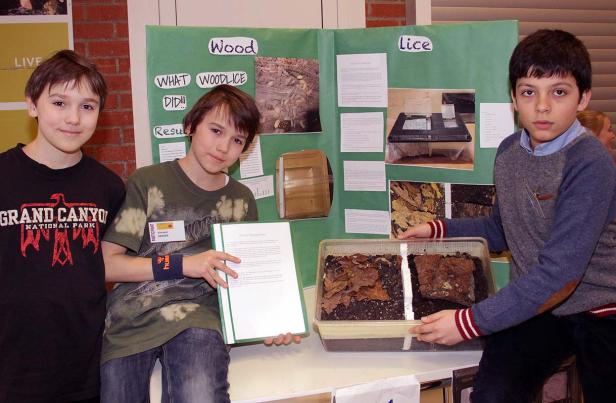 Drei Jungen präsentieren ein Schulprojekt über Kellerasseln.
