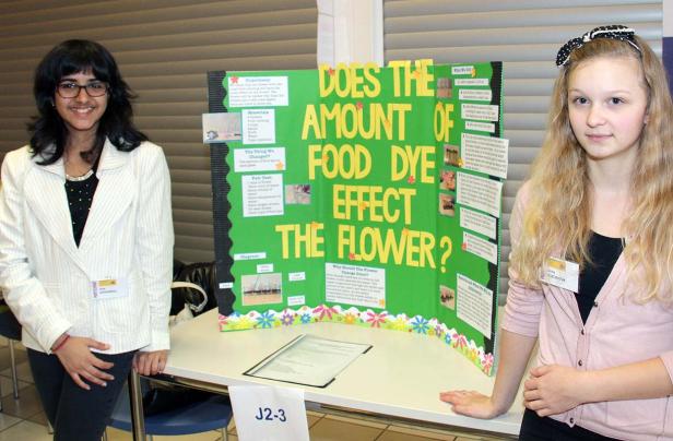 Zwei junge Frauen präsentieren ein Wissenschaftsprojekt über die Auswirkungen von Lebensmittelfarbe auf Blumen.