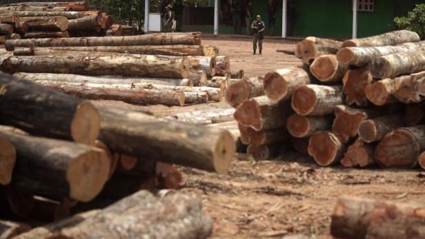 Gestapelte Baumstämme liegen auf einem Lagerplatz, bewacht von bewaffneten Sicherheitskräften.