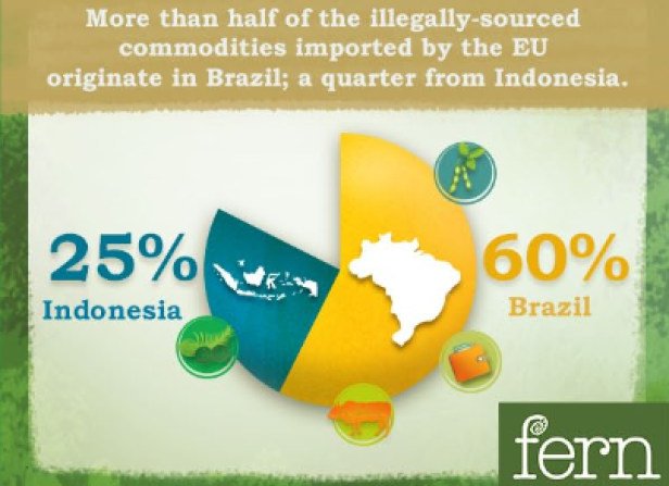 Ein Tortendiagramm zeigt, dass 60 % der illegalen EU-Importe aus Brasilien und 25 % aus Indonesien stammen.