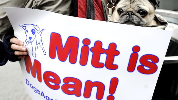 Tierischer Wahlkampf: „Hunde gegen Romney"