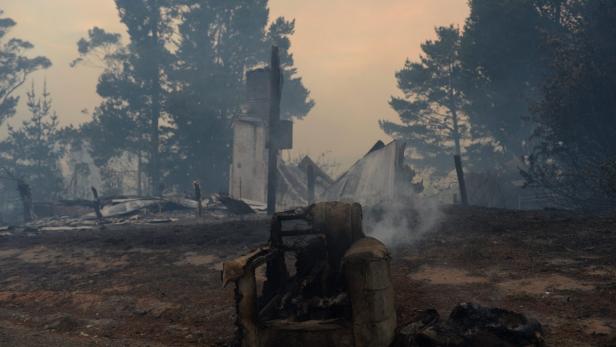 Buschbrände zerstören hunderte Häuser