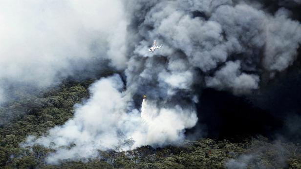 Buschbrände zerstören hunderte Häuser