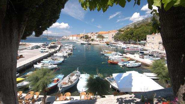 Blick durch Bäume auf einen Hafen mit Booten und Gebäuden an einem sonnigen Tag.