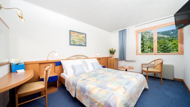 Ein Hotelzimmer mit blauem Teppich und Blick auf einen bewaldeten Berg.