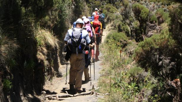 Einmal Kilimandscharo und retour