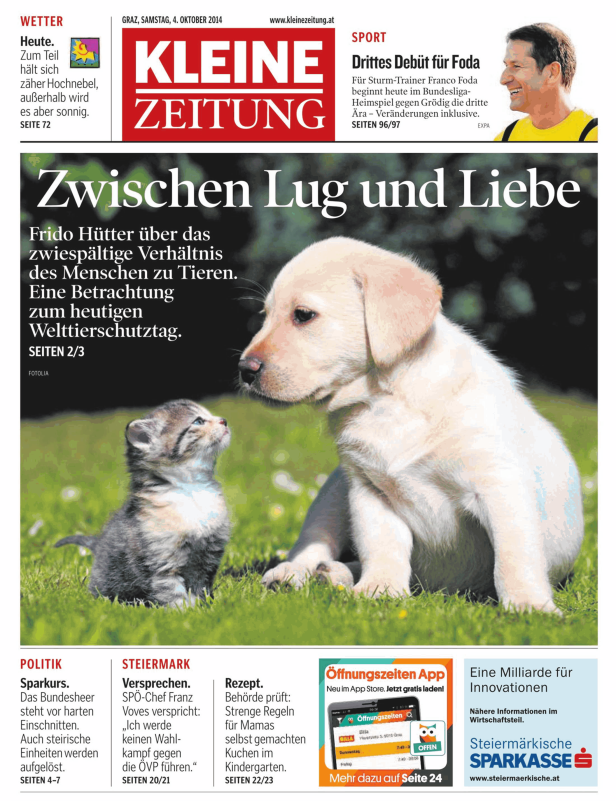 Ein Kätzchen und ein Labradorwelpe sitzen auf einer Wiese.