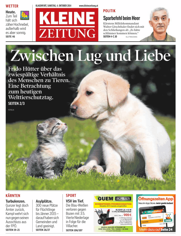 Ein junger Labrador und ein Kätzchen sitzen sich auf einer Wiese gegenüber.