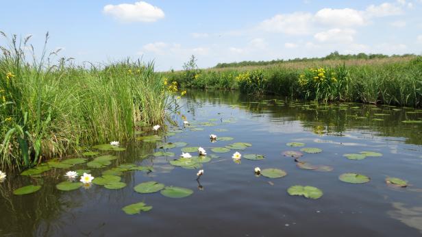 Giethoorn