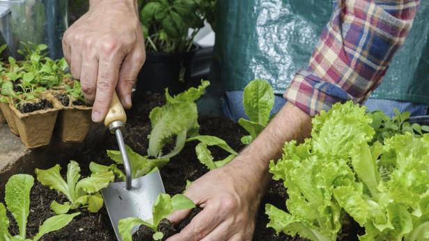 Auf ins neue Gartenjahr