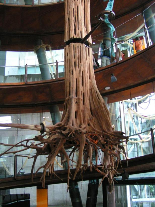 Ein großer, hölzerner Baumstumpf hängt in einem modernen Gebäude.