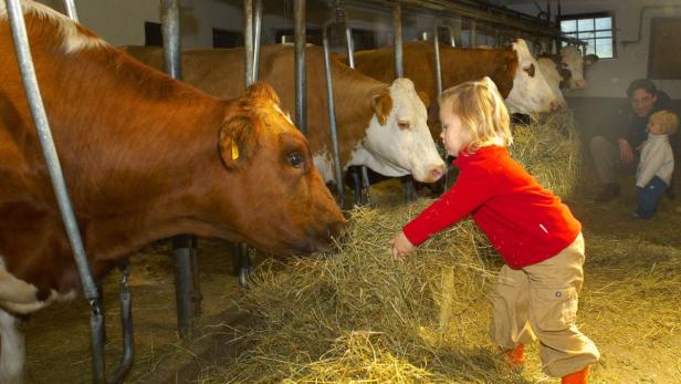 Familie in Großarl: Gockel Gusti und glückliche Kinder