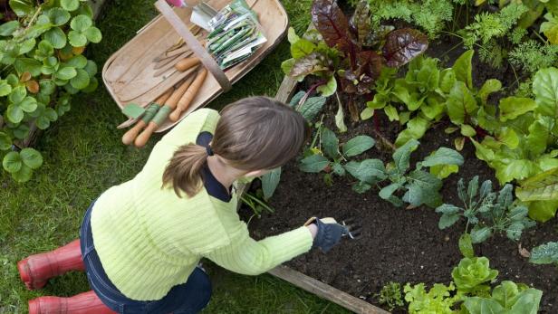 Gartenarbeiten für die zweite Jahreshälfte