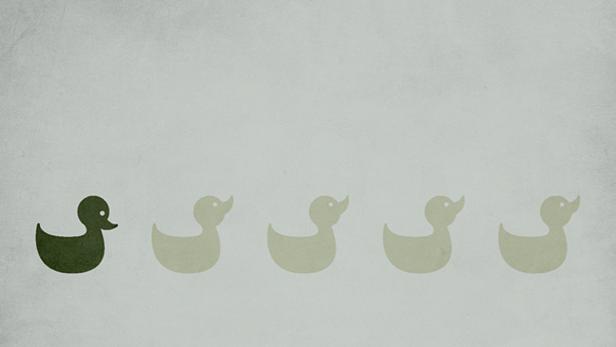 Eine dunkle Ente führt eine Reihe hellerer Enten an.