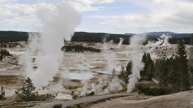 Dampf steigt aus dem geothermalen Gebiet im Yellowstone-Nationalpark auf.