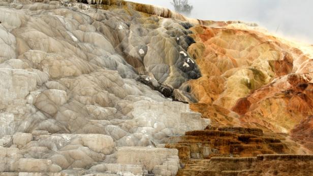 Die Kalksinterterrassen von Mammoth Hot Springs im Yellowstone-Nationalpark.