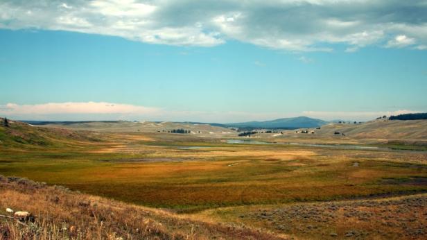 Weite Graslandschaft unter blauem Himmel mit vereinzelten Wolken.
