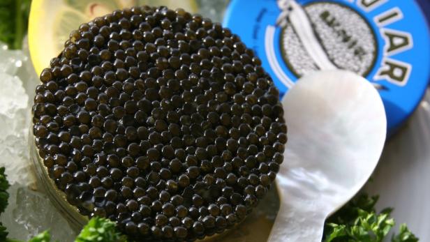 Eine Dose Kaviar mit einem Perlmuttlöffel und Zitronenscheiben auf Eis.