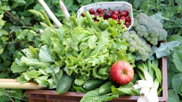 Ein Korb gefüllt mit frischem Gemüse und Obst, darunter Salat, Spargel, Kirschen und Brokkoli.