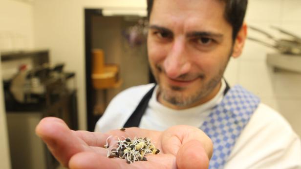 Ein Koch präsentiert Sprossen in seiner Hand.