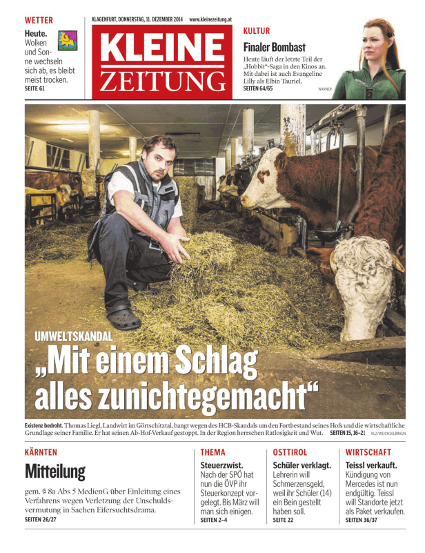 Ein Landwirt füttert Kühe mit Heu in einem Stall.