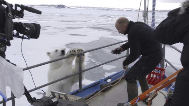 Ein Eisbär lehnt an der Reling eines Bootes, während ein Mann ihn fotografiert.