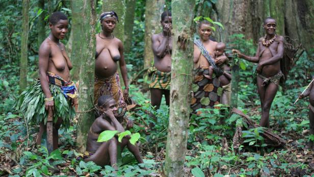 Eine Gruppe von indigenen Frauen und Kindern steht im dichten Dschungel.