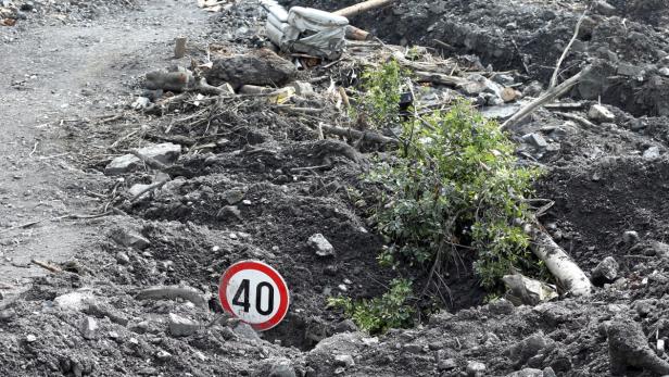 Überleben in einem vergifteten Land