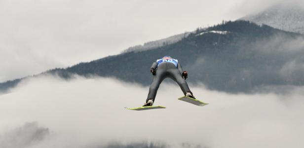 Flügellahme Adler