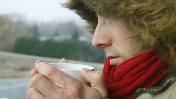 THEMENBILD: KAELTEWELLE Bis zu minus 21 Grad in Niederösterreich