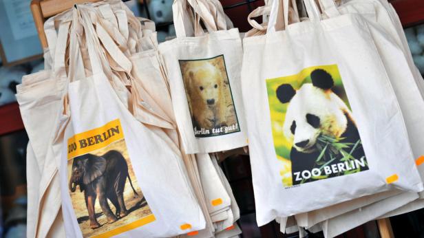 Eisbär Knut vor Gericht - Streit um Markenrechte