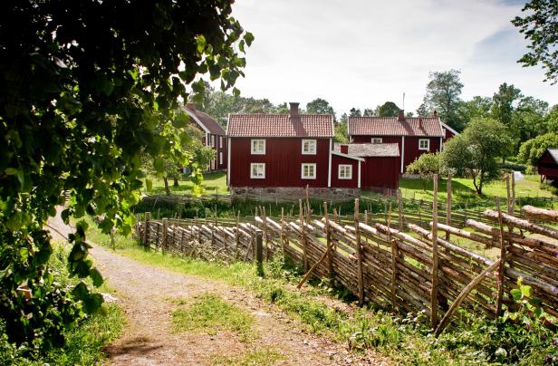 Midsommar, Süßgebäck & Krimis