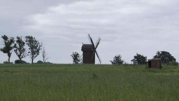 Midsommar, Süßgebäck & Krimis