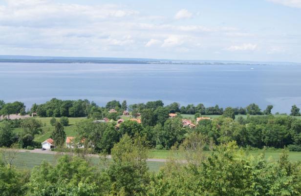 Midsommar, Süßgebäck & Krimis