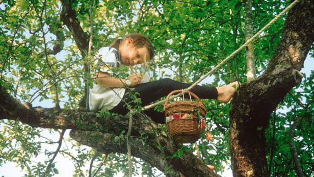 Zauberwald und Wasserpark: Ein Garten für Kinder