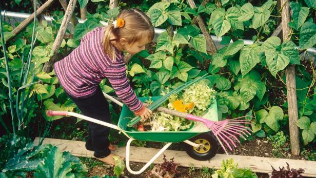 Zauberwald und Wasserpark: Ein Garten für Kinder