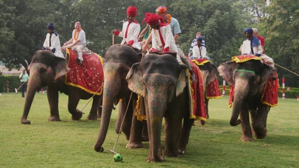 Mehrere geschmückte Elefanten mit Reitern auf einer grünen Wiese.