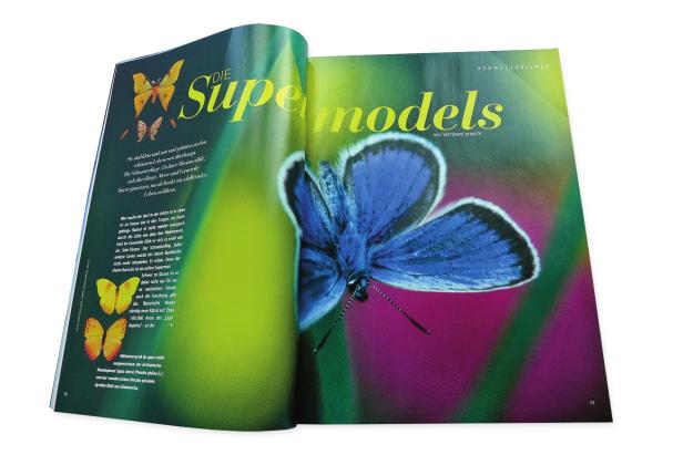… Eine geöffnete Zeitschrift mit dem Titel „Die Supermodels“ und Bildern von Schmetterlingen.