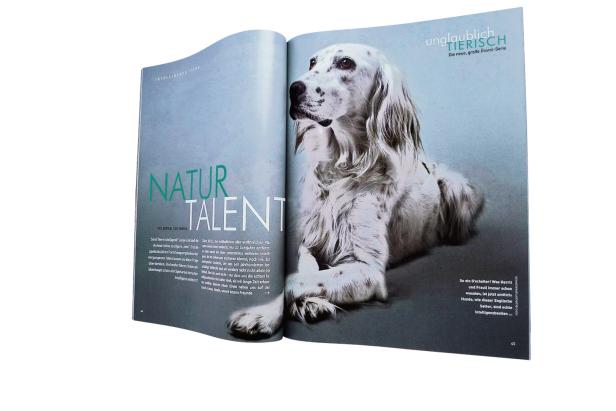 … Ein Englischer Setter liegt auf einer Magazinseite mit dem Titel „Naturtalent“.